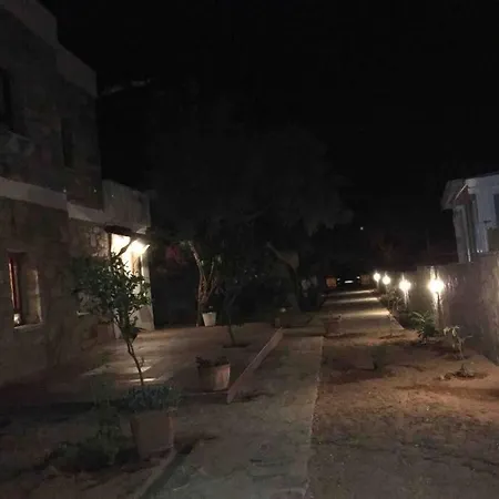 Bodrum Torba Da Tam Muestakil Bahceli Dogal Tas Ev. Villa