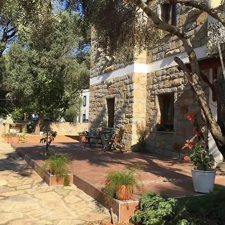 Bodrum Torba Da Tam Muestakil Bahceli Dogal Tas Ev. Villa