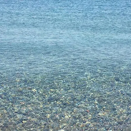 Bodrum Torba Da Tam Muestakil Bahceli Dogal Tas Ev. *