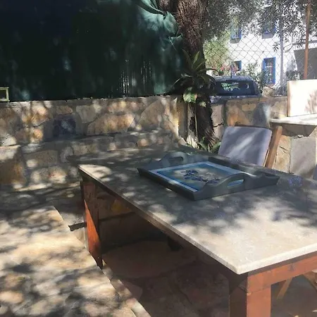 Bodrum Torba Da Tam Muestakil Bahceli Dogal Tas Ev. Villa