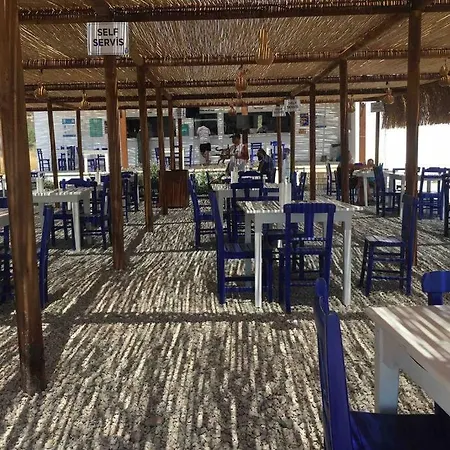 Bodrum Torba Da Tam Muestakil Bahceli Dogal Tas Ev. *