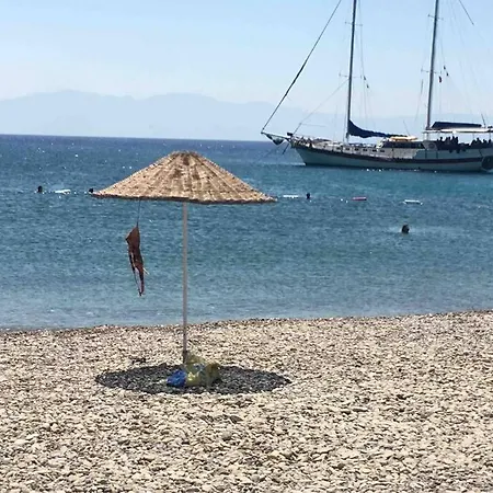 Villa Bodrum Torba Da Tam Muestakil Bahceli Dogal Tas Ev. *