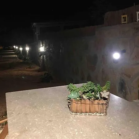Villa Bodrum Torba Da Tam Muestakil Bahceli Dogal Tas Ev. Bodrum